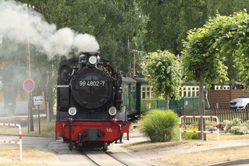 Rasender Roland in Baabe Insel Rügen