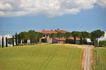 Fototapeta na wymiar Typical Tuscan landscape. Italy