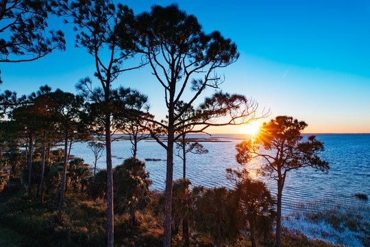 St. Joseph Bay State Buffer Preserve, Port St. Joe, Florida