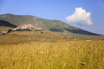 A magnificent sunrise in Castelluccio di Norcia. expecting more to the thousand colours of flowering 