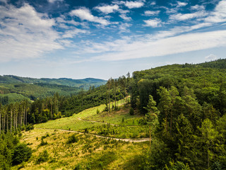 Fototapeta na wymiar Drone flying above the trees and little town. Blue dramatic sky with green trees with little buildings.