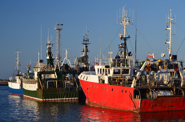 Kutry rybackie w porcie we Władysławowie, Pomorze/Fishing ships in the port of Wladyslawowo, Pomerania, Poland - obrazy, fototapety, plakaty