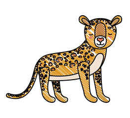 wild cheetah animal isolated vector illustration design