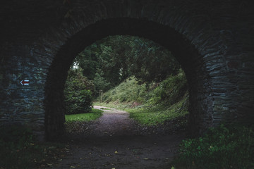 Fototapeta na wymiar Old mysterious forest tunnel in Czech Republic