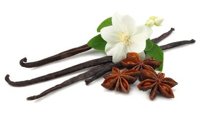 Vanilla sticks with white flower isolated on white background
