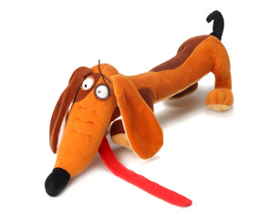 toy dachshund dog isolated on white background