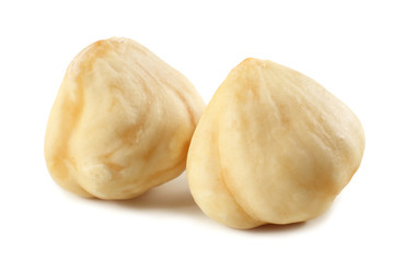 two hazelnuts isolated on a white background. macro