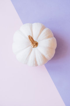 White pumpkin on pink background