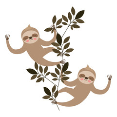 wild sloths couple in the jungle vector illustration design