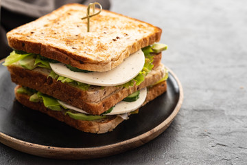 Healthy Homemade Vegetarian Veggie Sandwich with Lettuce. cucumber, avocado, Cheese. Copy space.