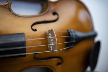Violino con corte e ponticello, dettagli di artista