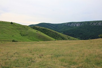 Green vegetation on the hills