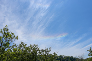 Horizontal rainbow (rounded-horizontal arc). Rare natural phenomenon.