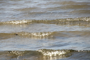 Calm waves of the North Sea reaching the coast