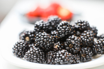 plenty of fresh blackberries