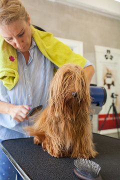 Grooming school