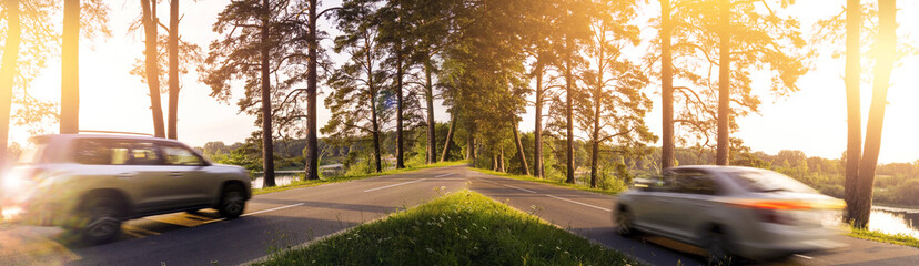 Fototapeta premium The road in the pine forest, the rays of the sun through the trees, the machine in motion, the blur