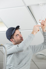 the establishment's electrician