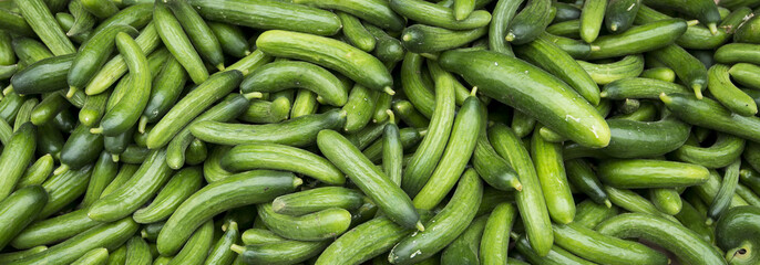 Persian cucumbers piled on a table at San Francisco's Clement Street Farmer's Market.  
