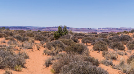 Desert landscape of Utah, USA. Desert Moab