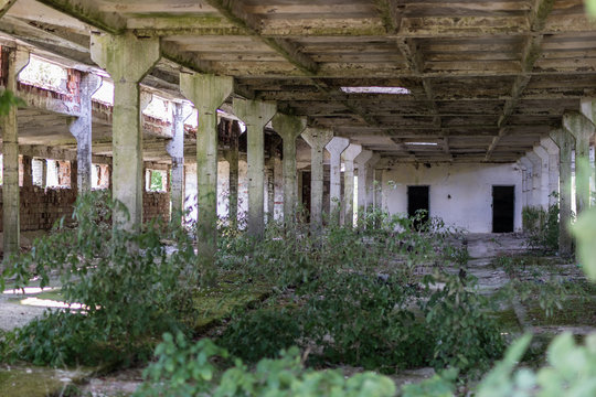 Destroyed state farm in Central Europe. Ruins of farm buildings. Season of the summer.
