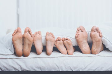 Fototapeta Close up Family in Bed under Cover Showing Feet obraz