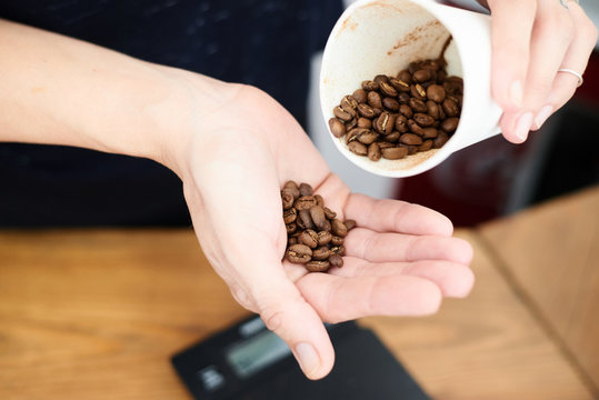 Close-up of barman's hands with coffee beans. Sorting out coffee beans for the best drink.