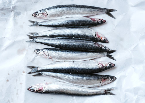 Sardines