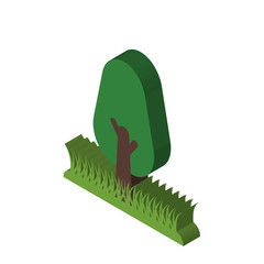 tree isometric right top view 3D icon