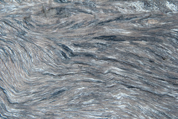 Texture of bark background,tree texture,wood background