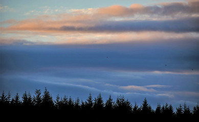 Fototapeta na wymiar Clouds in the valley