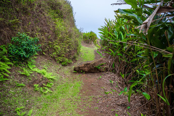 Ascension Island