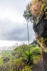 Ascension Island