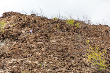 Ascension Island