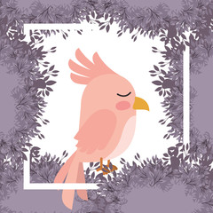 cute bird with leafs frame vector illustration design