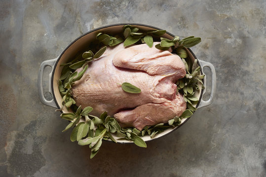 Raw Thanksgiving Turkey