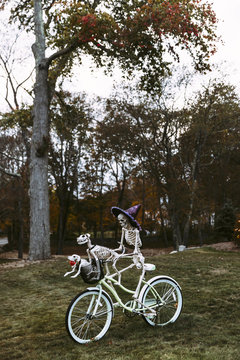 Skeleton Family on Halloween Bike Ride