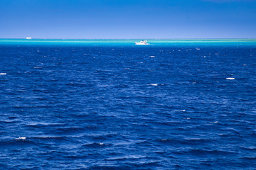 View of the boat on the shore of the red sea