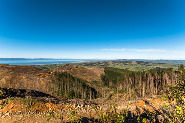 View from a mountain top of a forestry site