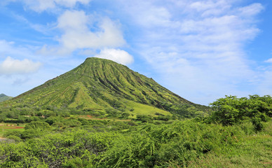 Obraz na płótnie Canvas Green landscape with Koko crater - Oahu, Hawaii