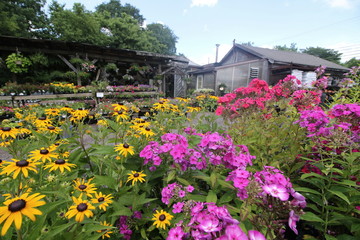Garden store with flowers.
