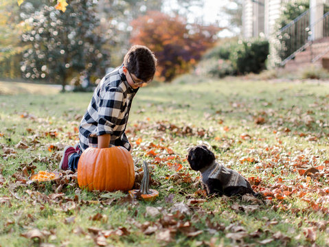 Pumpkin Carving for Halloween