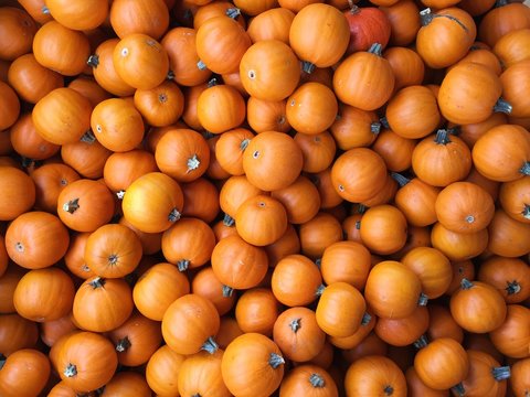 Pumpkins