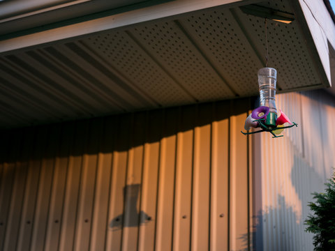 A Hummingbird Feeder And Shadow.