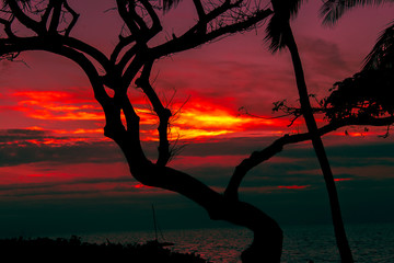 Red Maui sunset