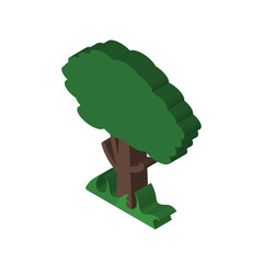 Tree isometric right top view 3D icon