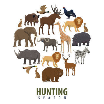 Vector hunting season poster of wild animals