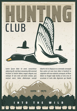 Vector vintage poster for duck hunting club