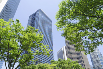 Obraz na płótnie Canvas 東京風景・新緑の高層ビル街