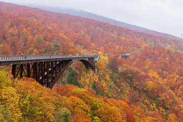 Jogakura bridge, mountain and valley with beautiful autumn season colors during mid October, Aomori, Japan.